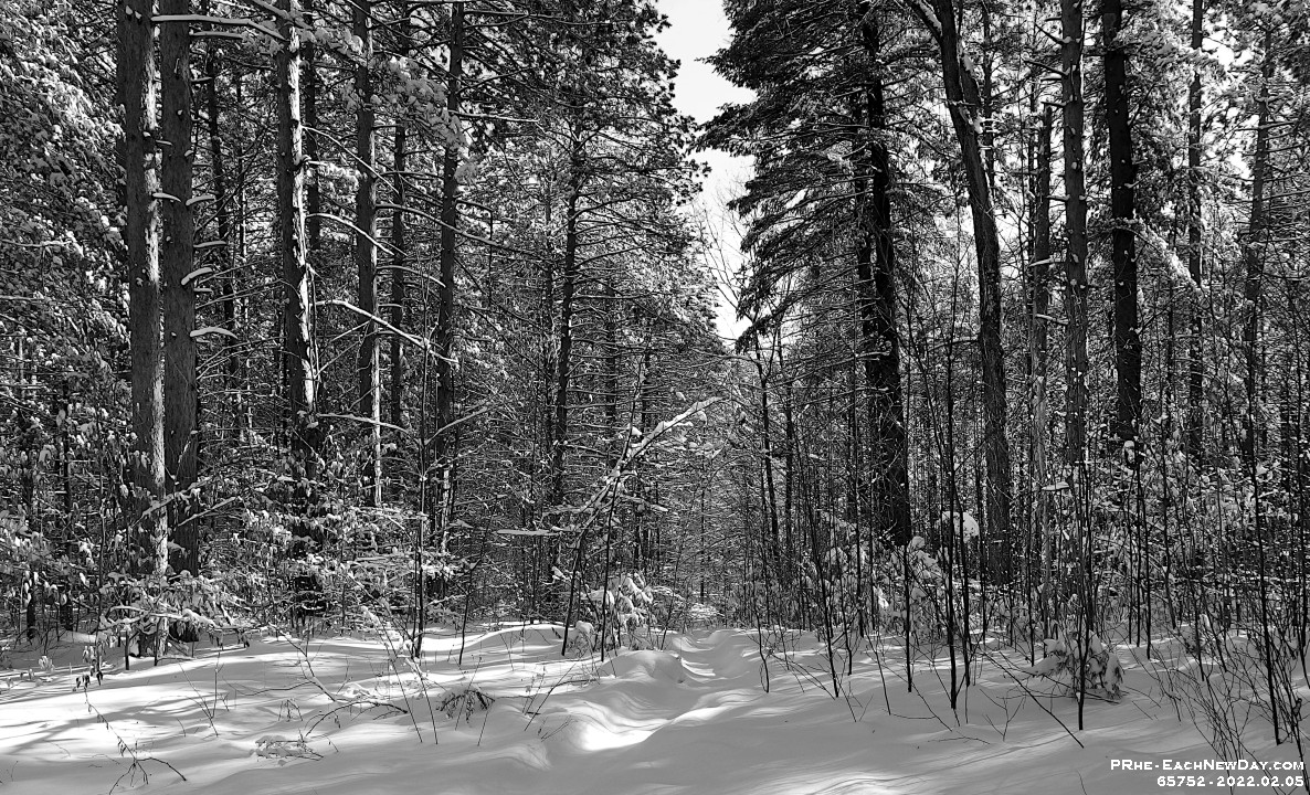 65752PeCrBwLeUsmRe - A lovely afternoon ski with Beth and Andy at Durham Forest